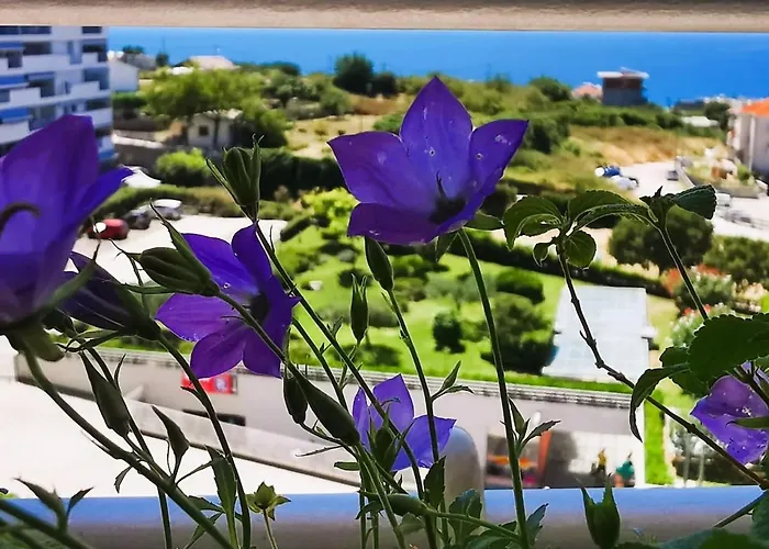 Seaside Oasis Apartment