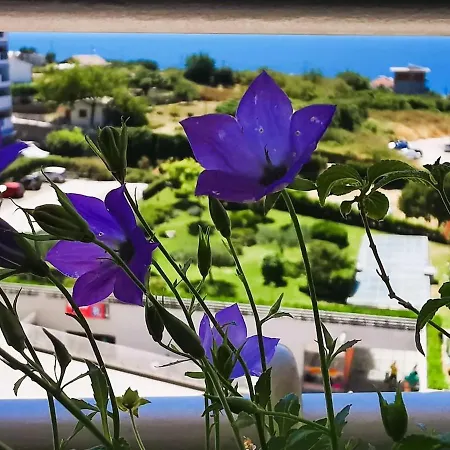 Seaside Oasis דירה